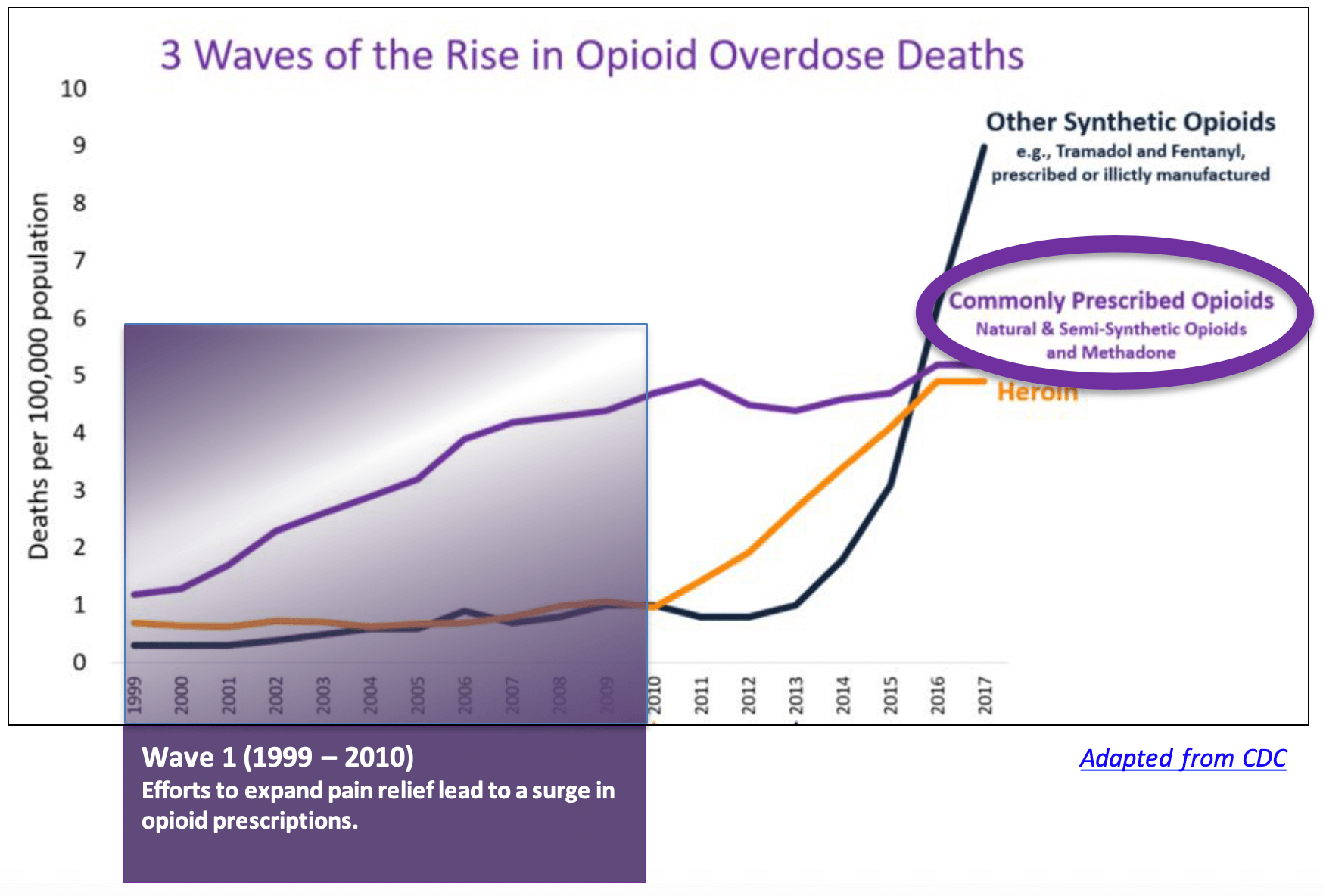 Part One: Opioid Crisis-Unraveling the Myths • PBI Education